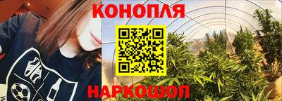 бошки Гагарин