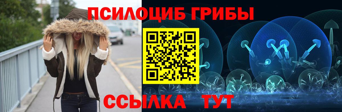 Псилоцибиновые грибы мухоморы  Вход с VPN  Серов  где можно купить   Псилоцибиновые грибы мицелий 