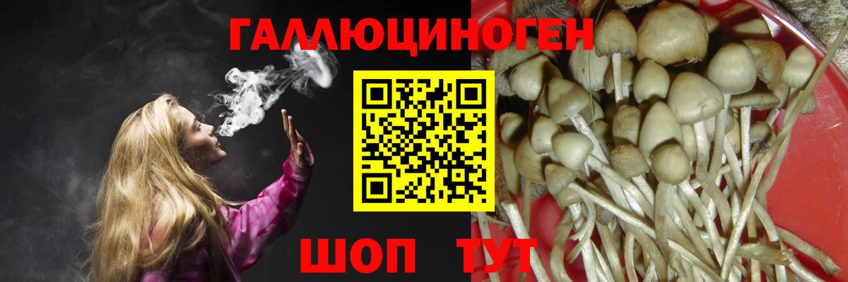 Псилоцибиновые грибы Cubensis Серов