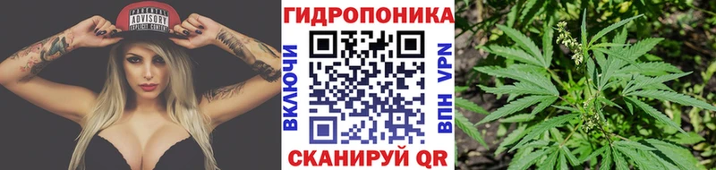 Канабис планчик  ОМГ ОМГ маркетплейс  Серов 